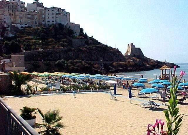 Photo of Others in Fondi