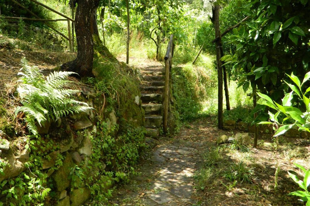 Photo of Others in Colli di Fontanelle
