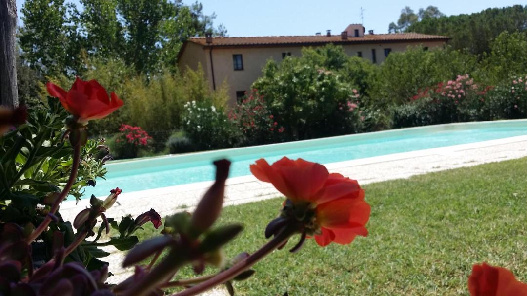 Photo of Others in Gavorrano