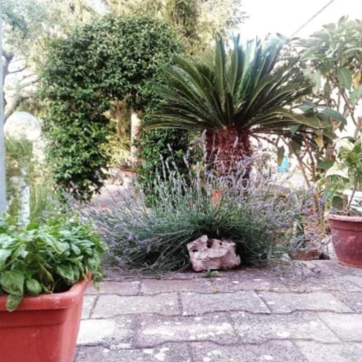 Photo of Others in Carosino