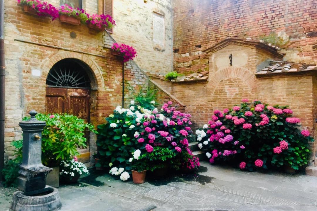 Photo of Buildings in Buonconvento