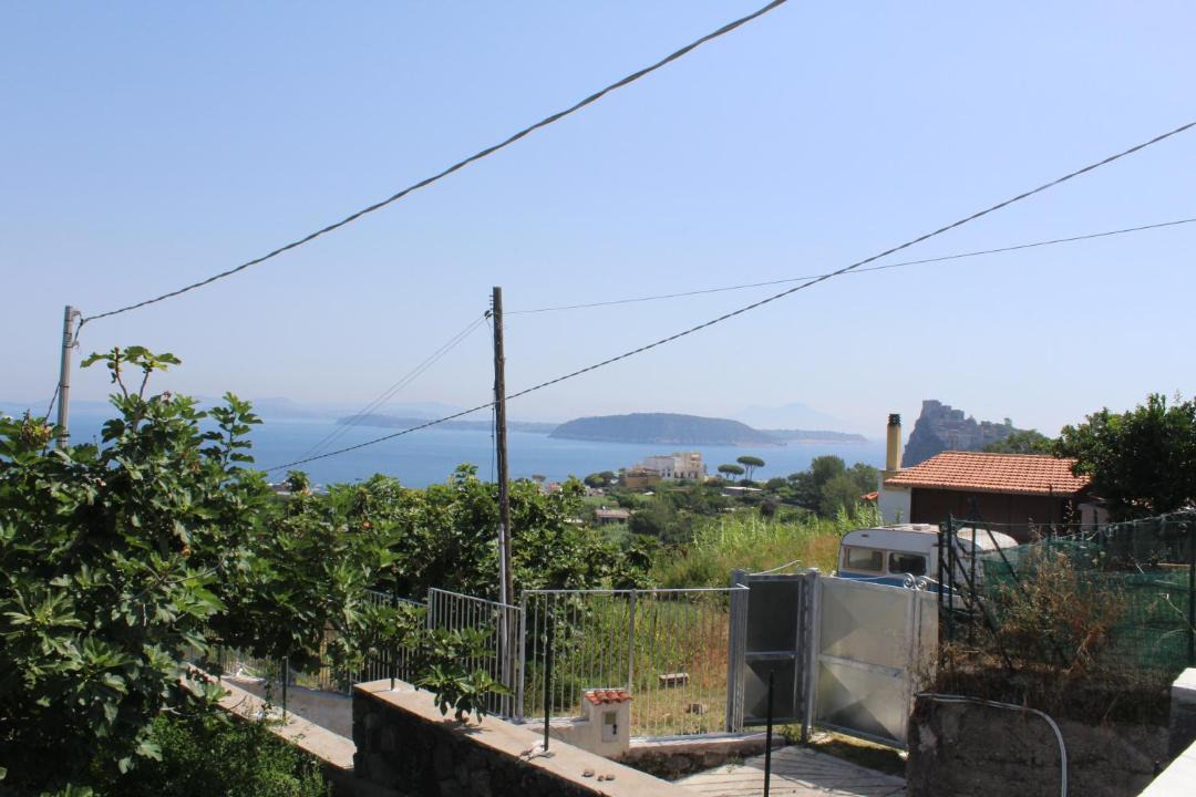Photo of Others in Ischia Porto