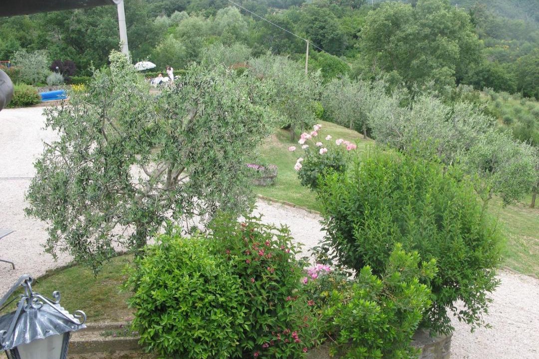 Photo of Others in Cortona