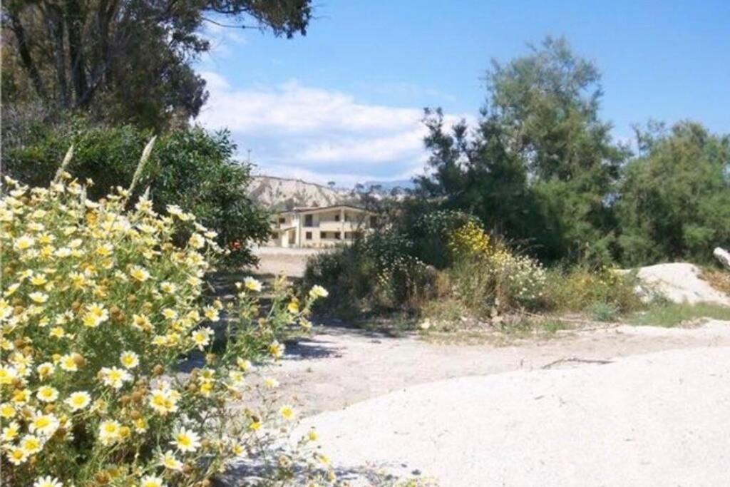 Photo of Outdoor in Caulonia