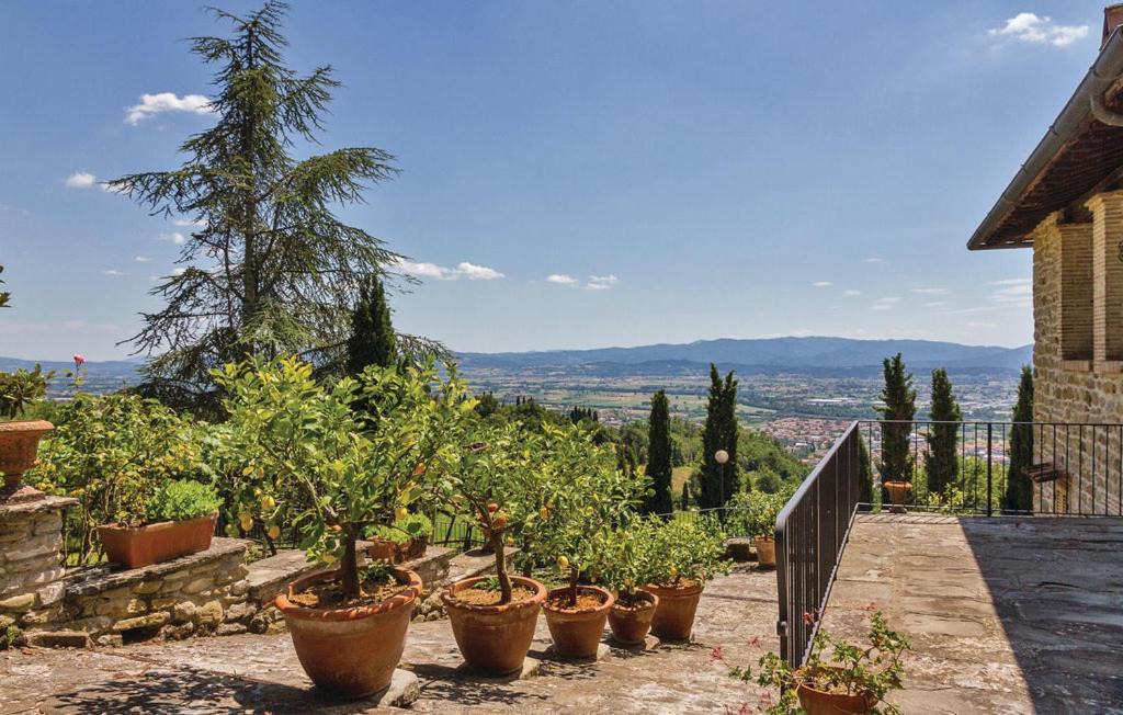 Photo of Others in Sansepolcro