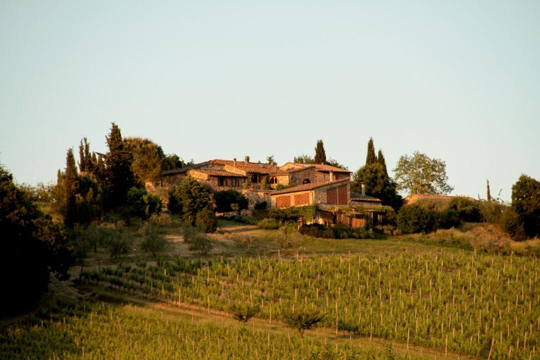 Photo of Others in Castellina in Chianti