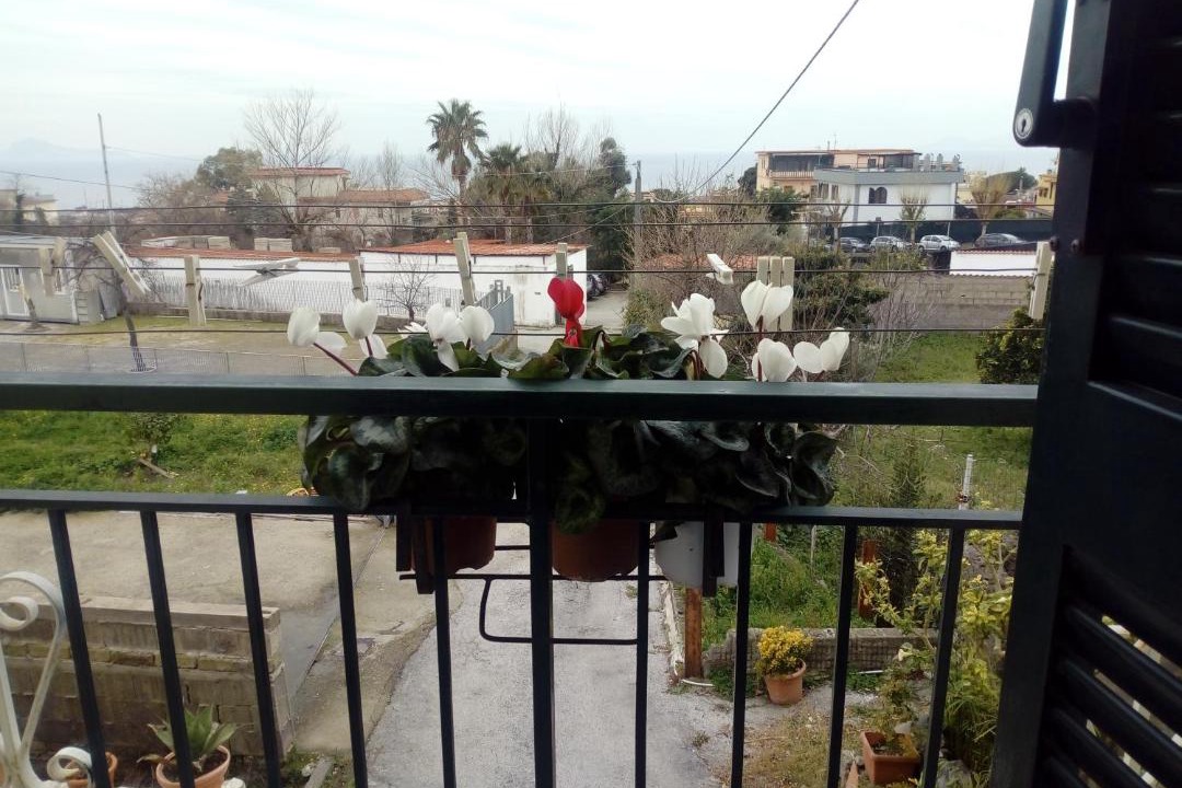 Photo of Others in Ercolano