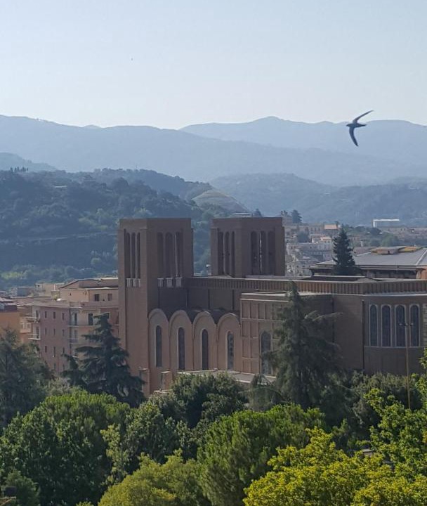 Photo of Others in Cosenza