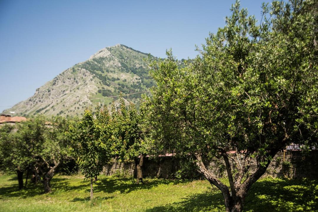 Photo of Others in Cirignano