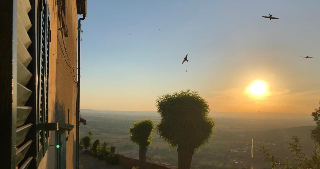 Photo of Others in Cortona Old Town