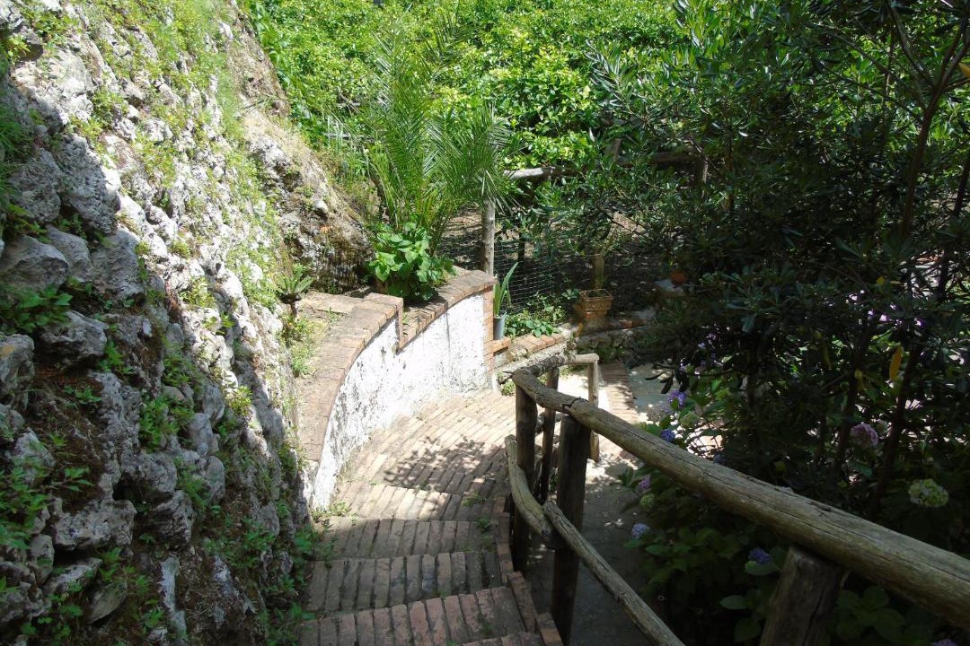 Photo of Others in Pucara