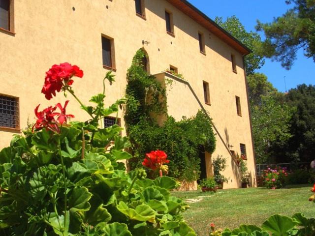 Photo of Others in Gavorrano