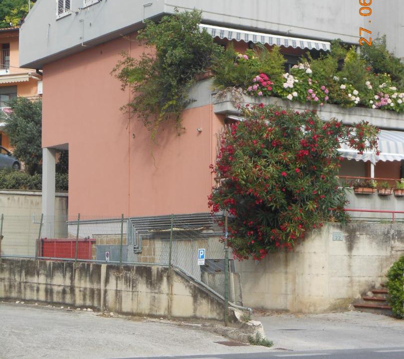 Photo of Others in Lido Riccio