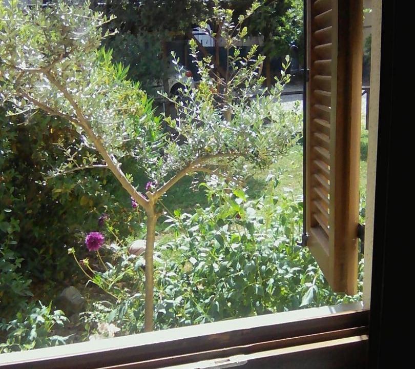 Photo of Others in Sferracavallo