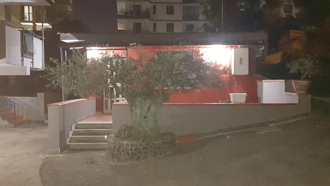 Photo of Others in Ercolano