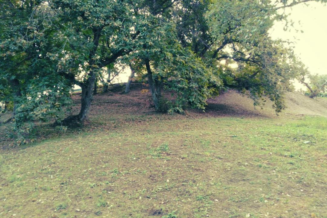 Photo of Outdoor in Bagnoregio