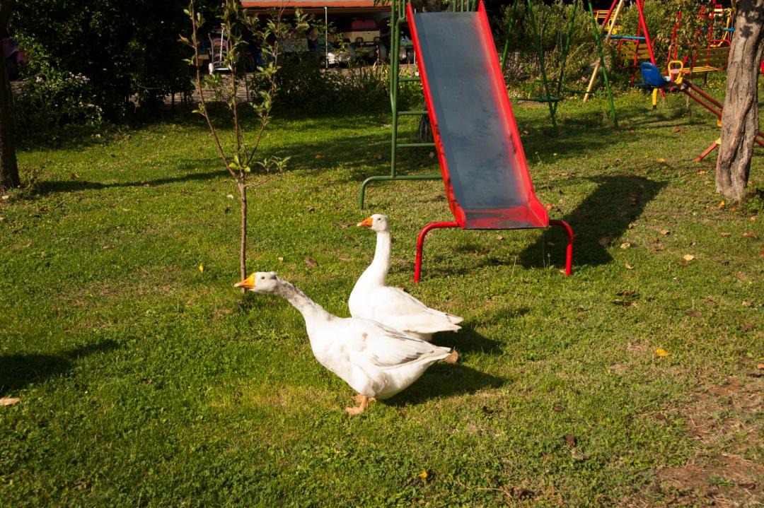 Photo of Outdoor in Sansepolcro
