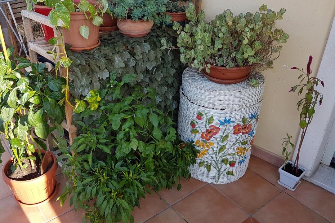 Photo of Patio Balcony in Olbia