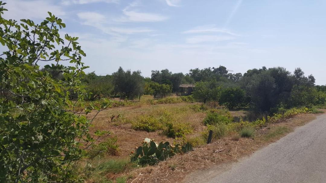 Photo of Outdoor in San Sostene Marina