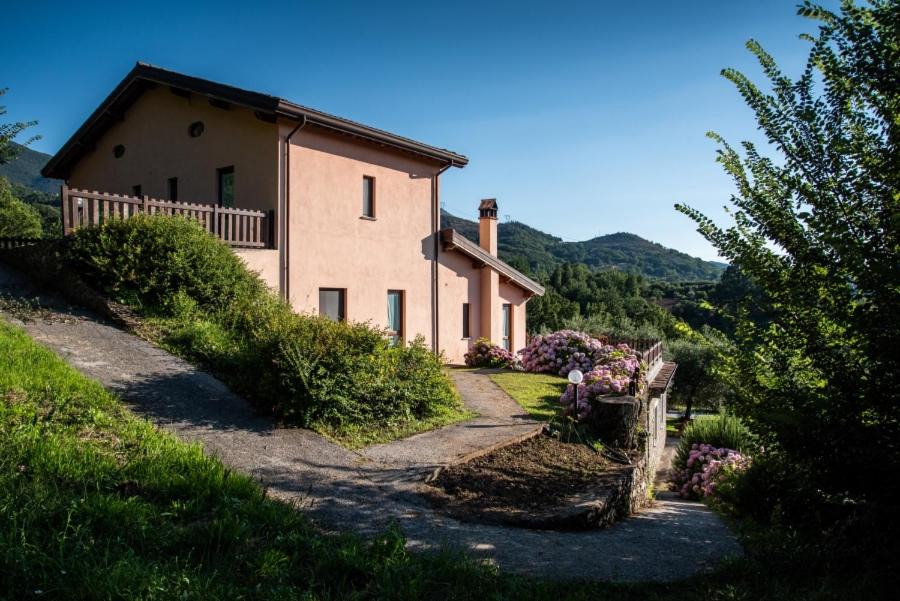 Photo of Buildings in Viggianello