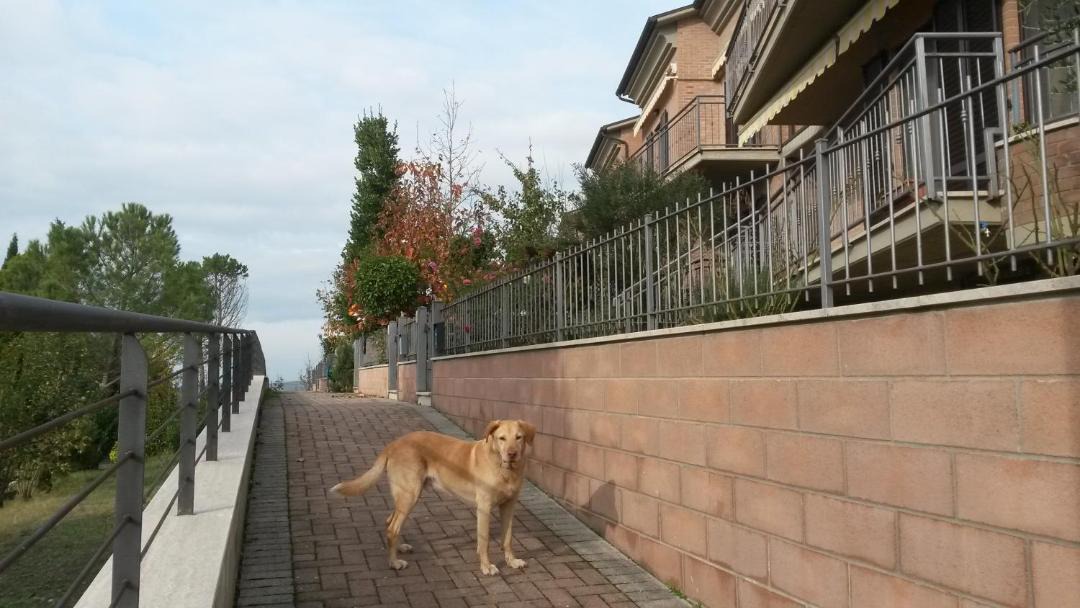 Photo of Others in Torrenieri