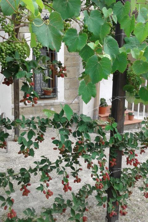 Photo of Others in San Martino Valle Caudina
