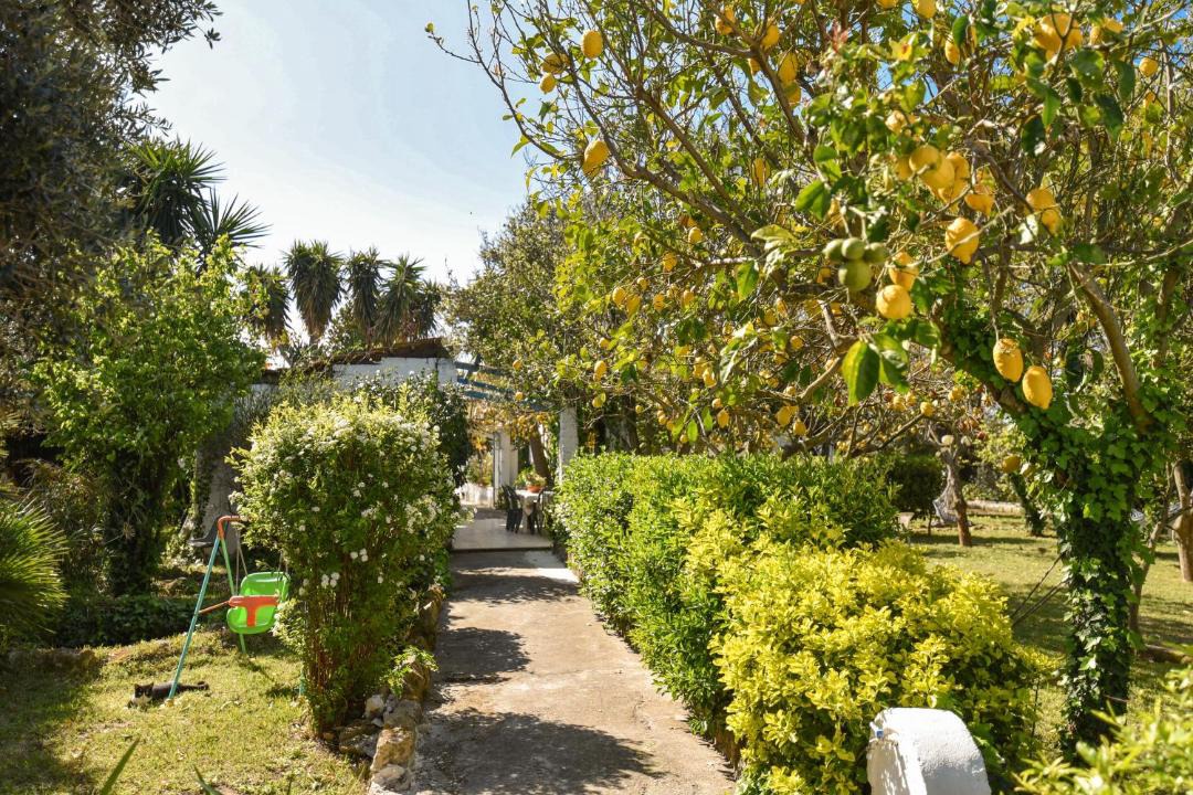 Photo of Outdoor in Procida