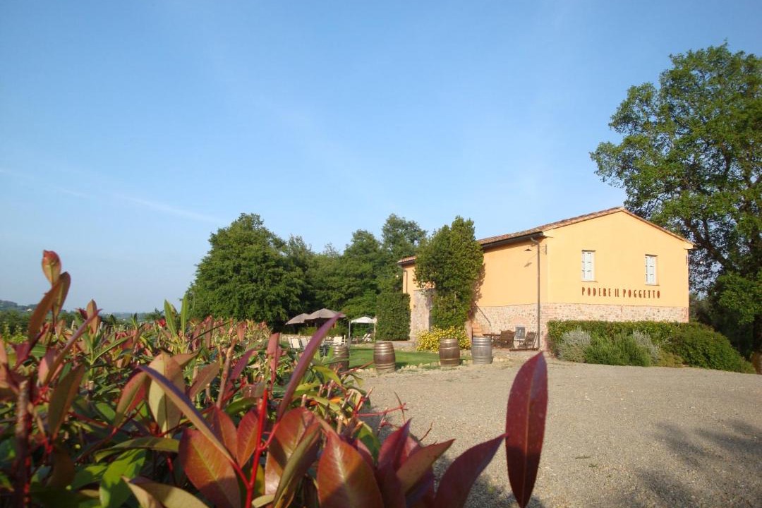 Photo of Others in Terricciola