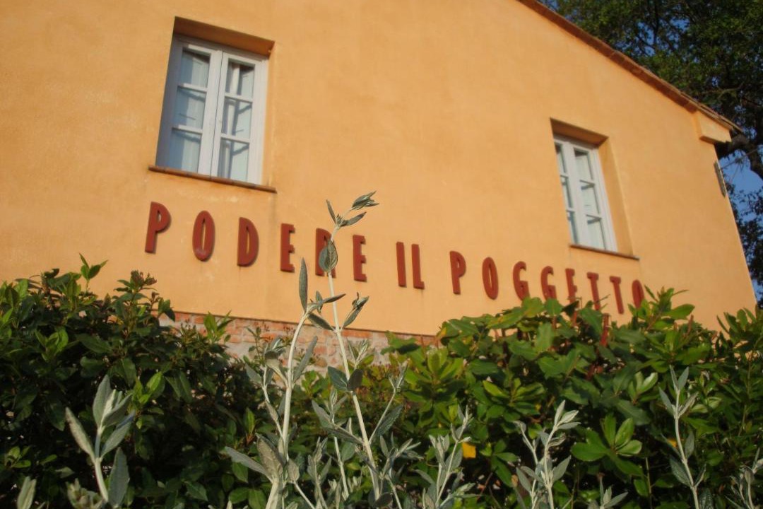 Photo of Others in Terricciola