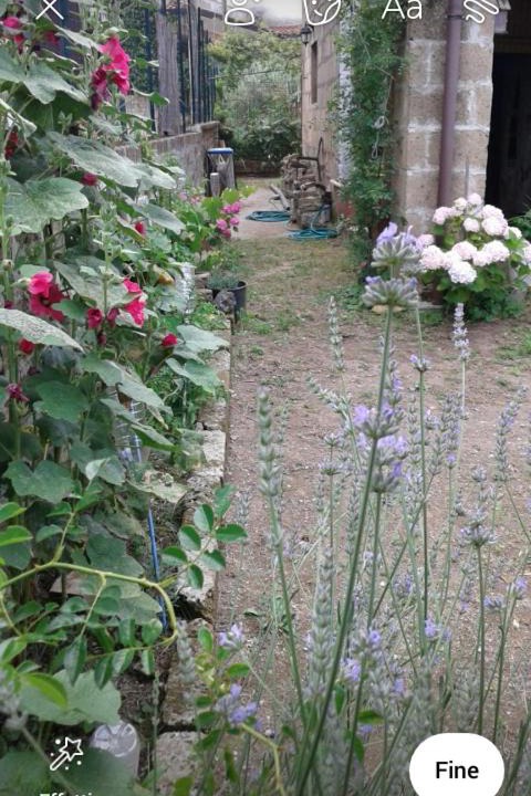 Photo of Others in San Martino Valle Caudina