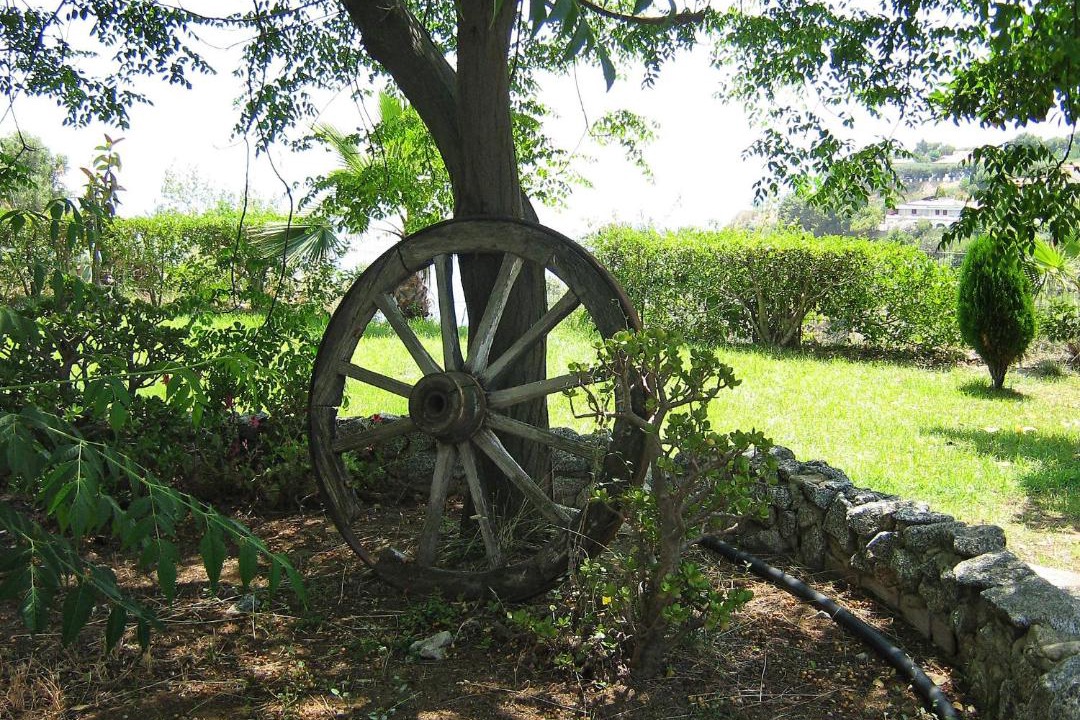 Photo of Others in Santa Maria