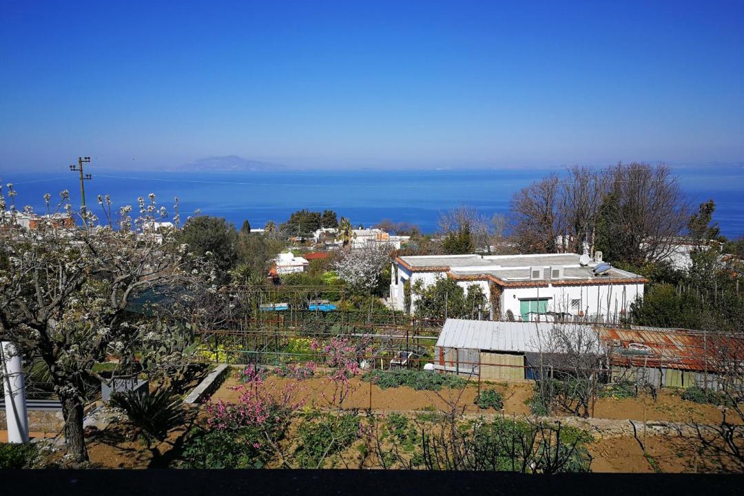 Photo of Others in Anacapri