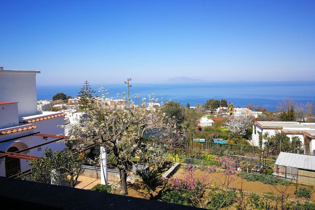 Photo of Others in Anacapri