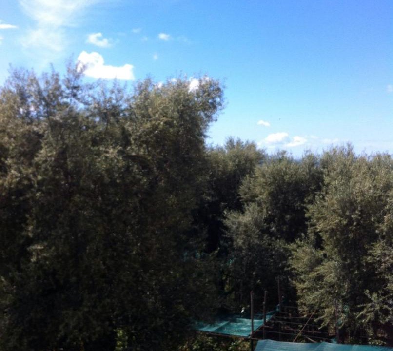 Photo of Outdoor in Sorrento
