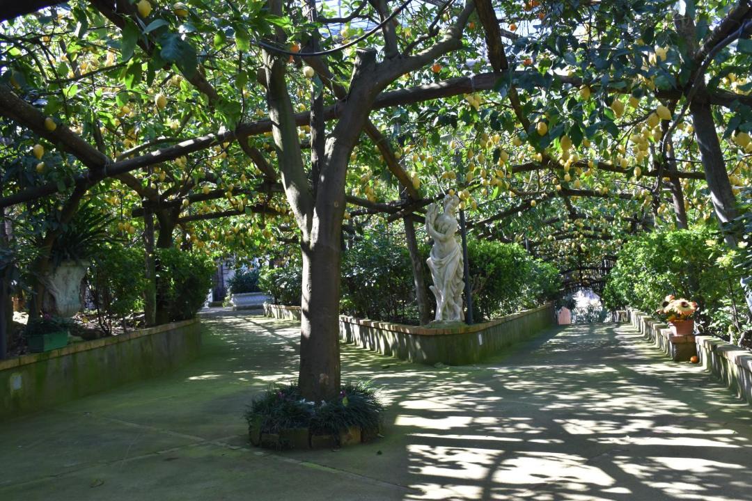 Photo of Others in Schiazzano