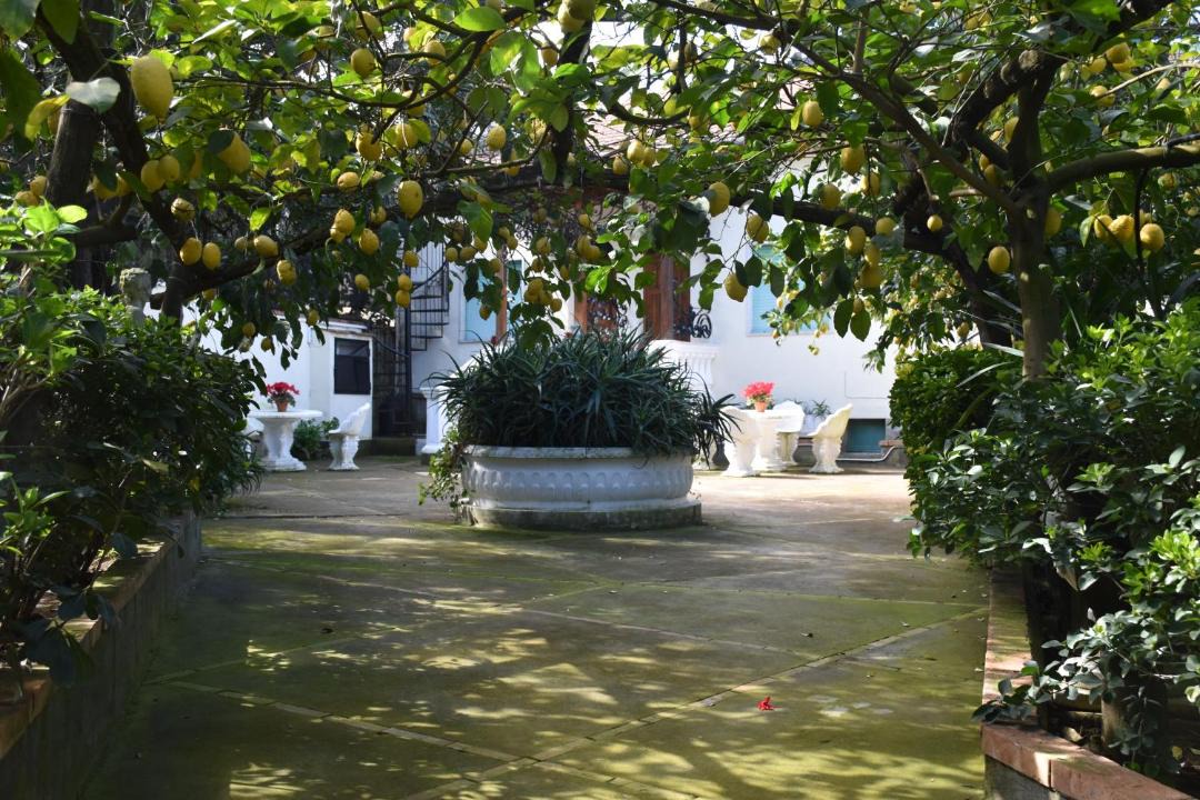 Photo of Others in Schiazzano
