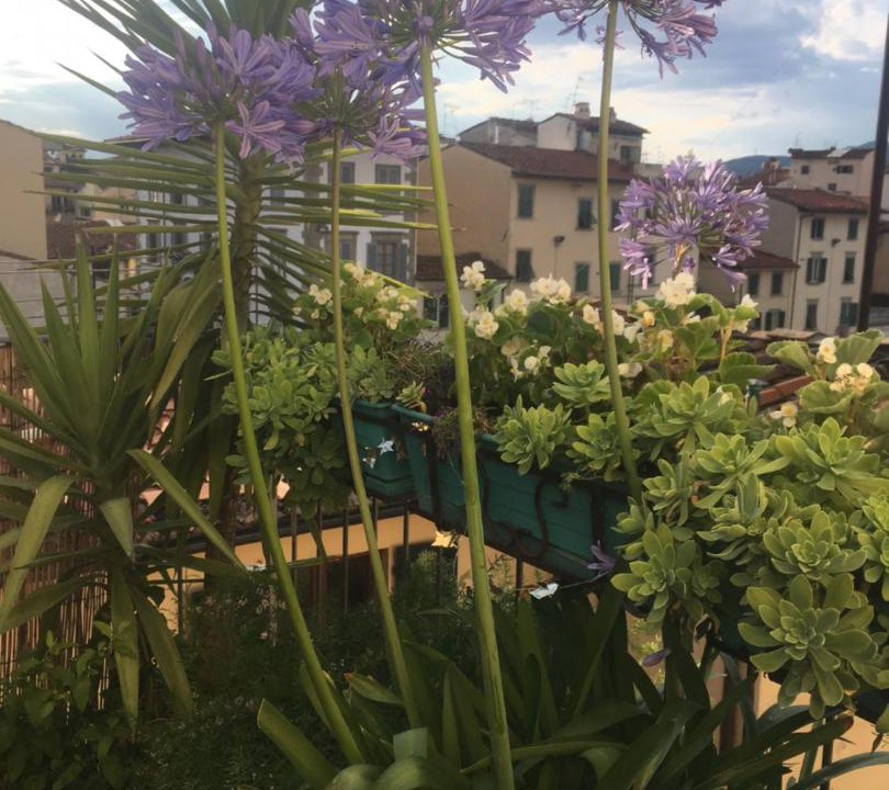 Photo of Outdoor in Santa Croce