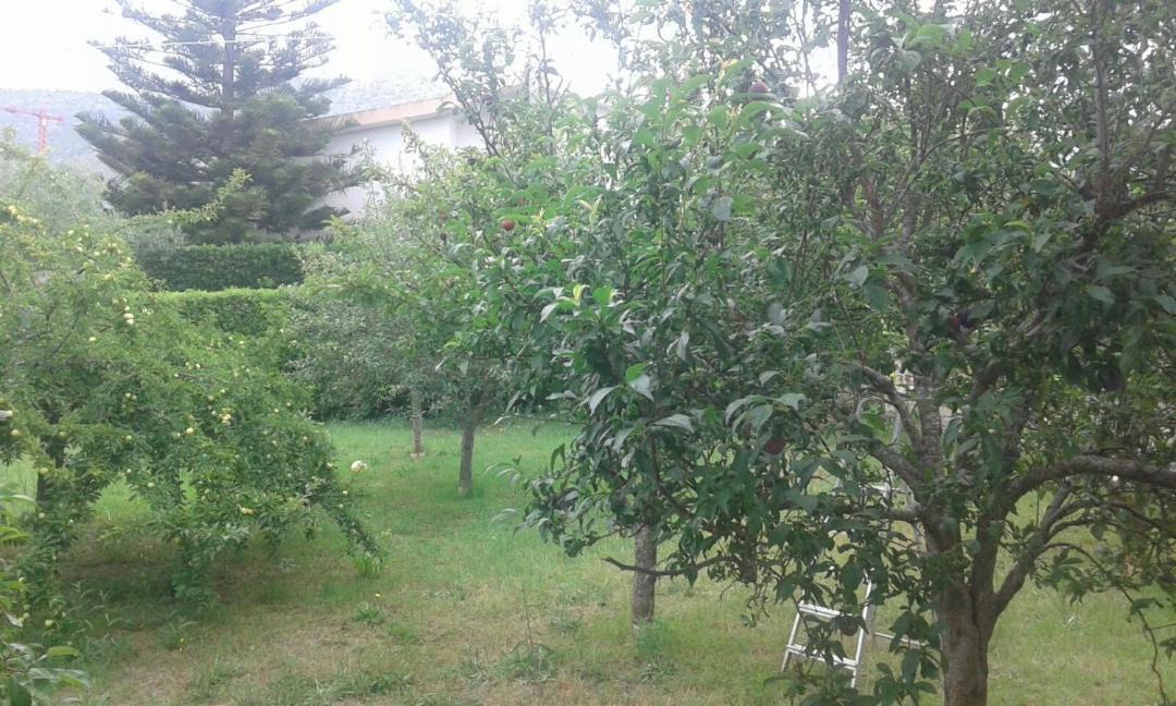 Photo of Outdoor in Sperlonga