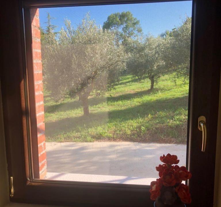 Photo of Others in Rocchetta a Volturno
