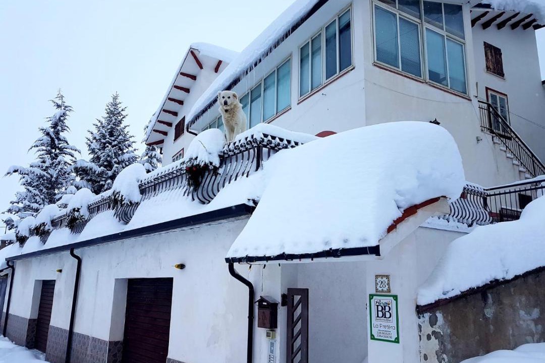 Photo of Others in Campo di Giove