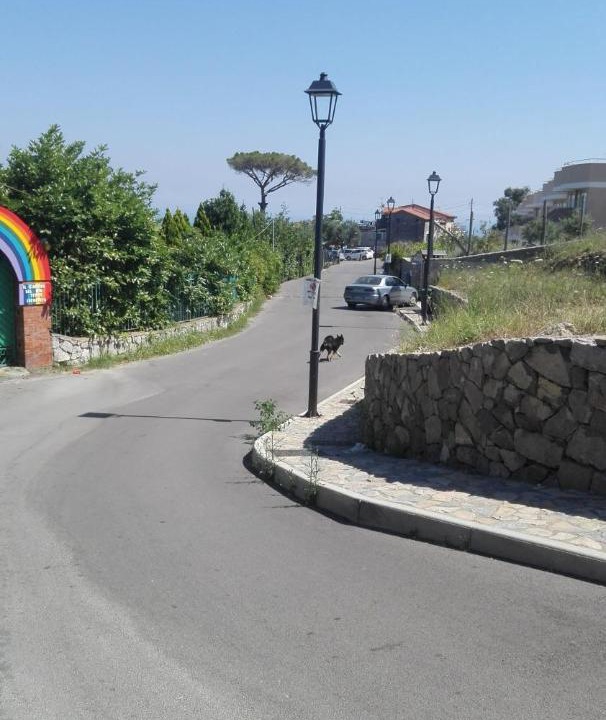 Photo of Others in Colli di Fontanelle