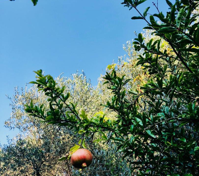 Photo of Outdoor in Pompei
