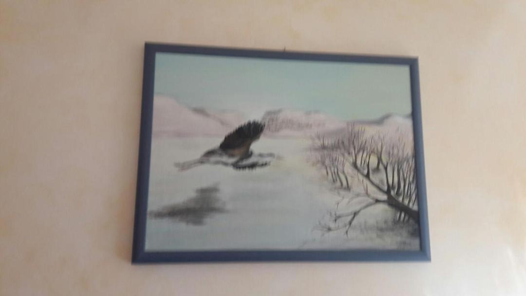Photo of Others in Villetta Barrea