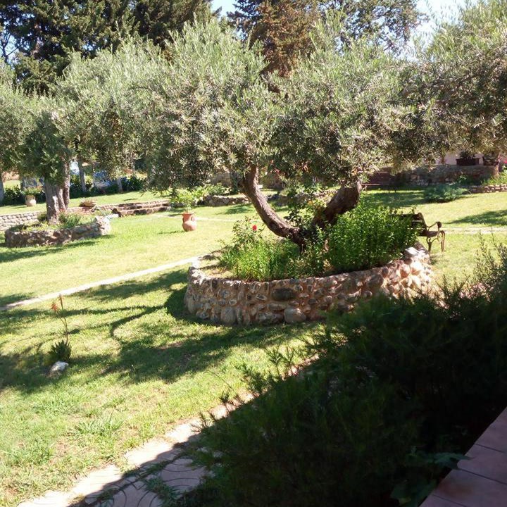 Photo of Others in Scalea
