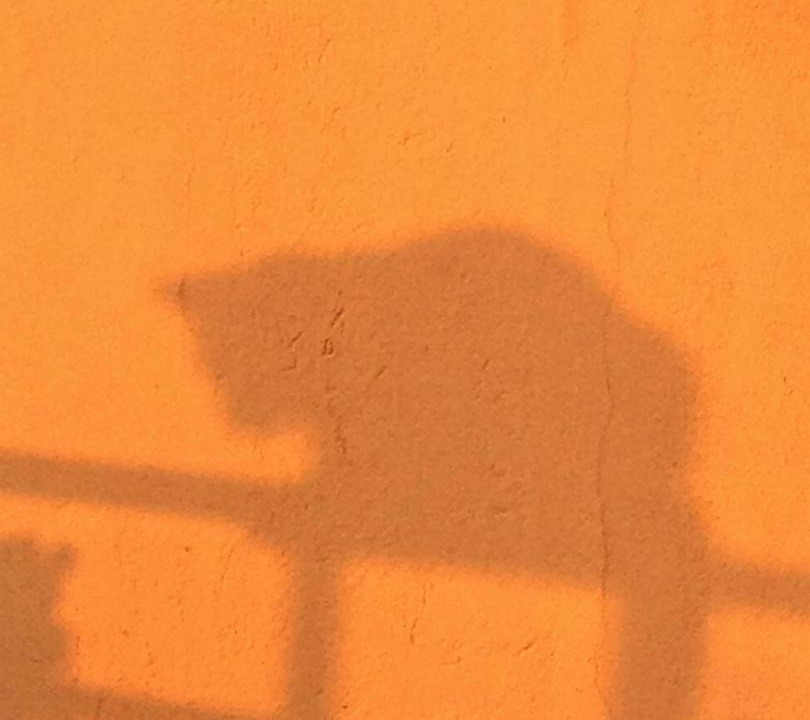 Photo of Others in Tropea