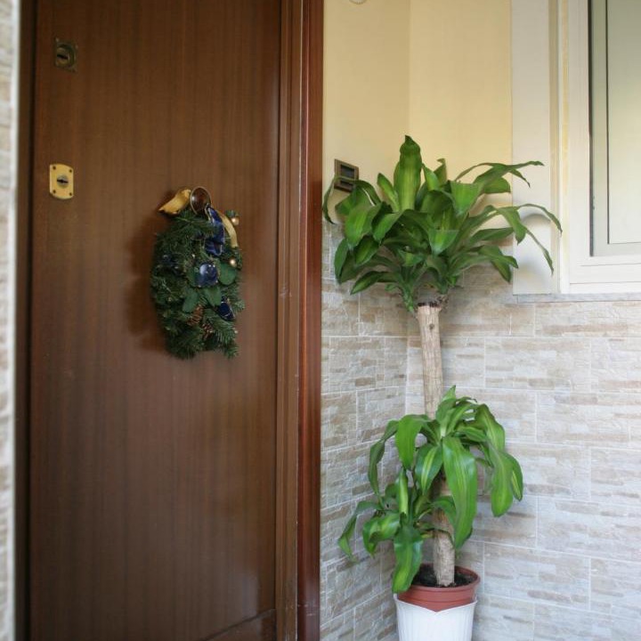 Photo of Others in Casoria