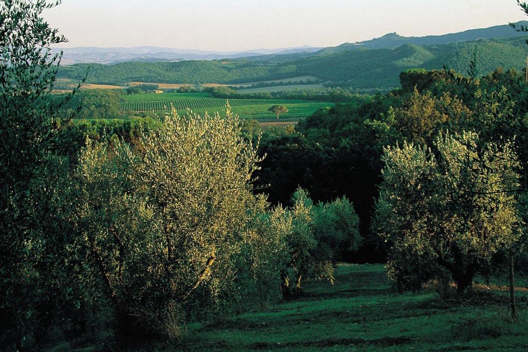 Photo of Others in Murlo