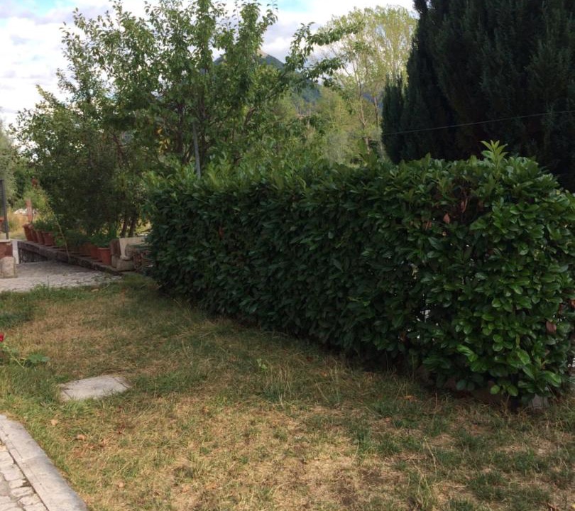 Photo of Outdoor in Opi