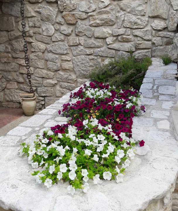 Photo of Others in Torricella Peligna