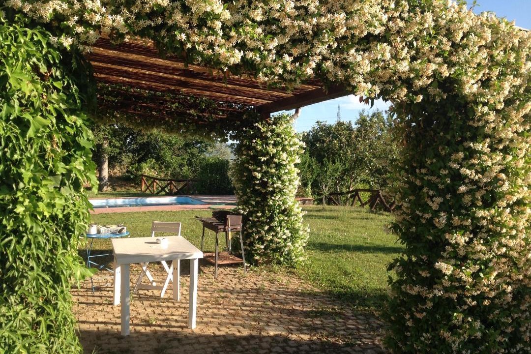 Photo of Others in Pieve al Bagnoro